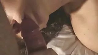 રશિયન વિદ્યાર્થી સ્ટ્રોક hamster porn pictures ગોળાર્ધ ચૂસીને અને તેને ભોગવવું